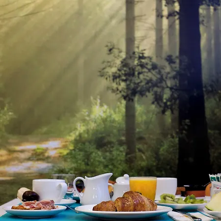 Salamanca Suite Studios 4*