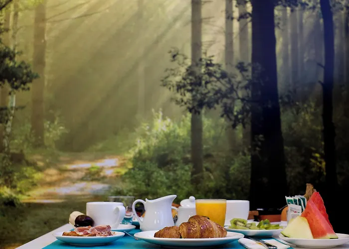 Salamanca Suite Studios 4*